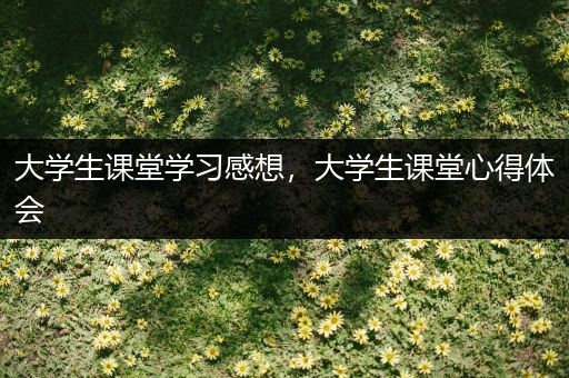 大学生课堂学习感想，大学生课堂心得体会