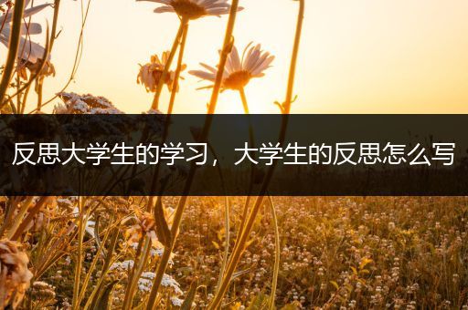 反思大学生的学习，大学生的反思怎么写