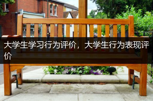 大学生学习行为评价，大学生行为表现评价
