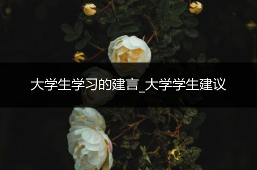 大学生学习的建言_大学学生建议