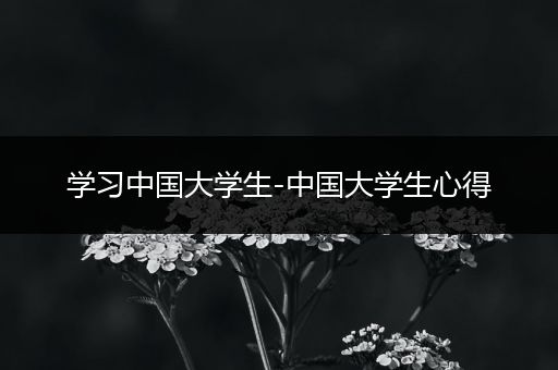 学习中国大学生-中国大学生心得