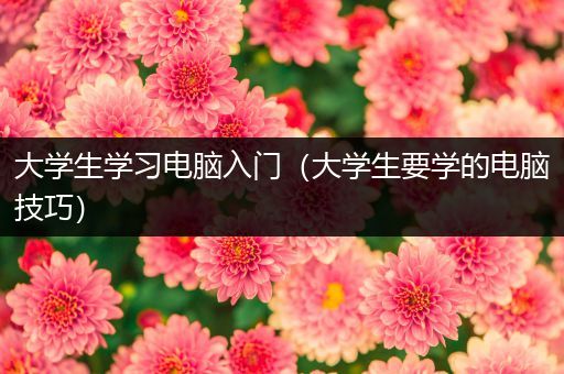 大学生学习电脑入门（大学生要学的电脑技巧）