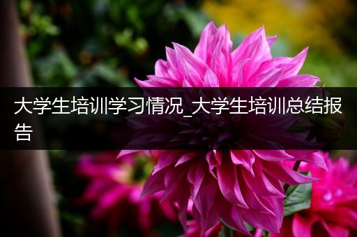 大学生培训学习情况_大学生培训总结报告