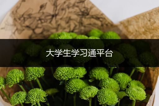大学生学习通平台