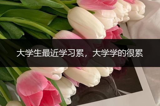 大学生最近学习累，大学学的很累
