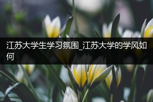 江苏大学生学习氛围_江苏大学的学风如何