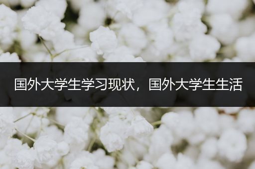国外大学生学习现状，国外大学生生活