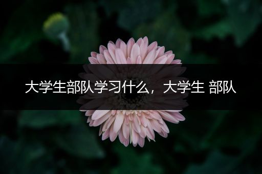 大学生部队学习什么，大学生 部队