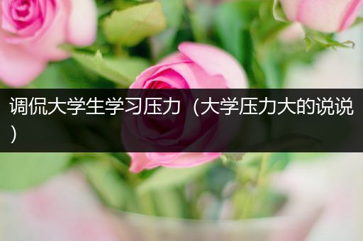 调侃大学生学习压力（大学压力大的说说）