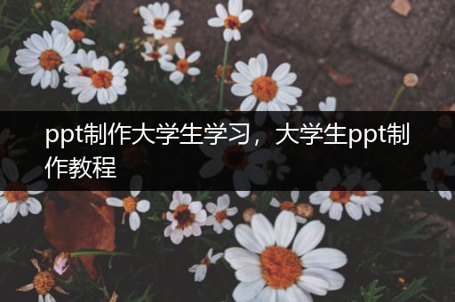 ppt制作大学生学习，大学生ppt制作教程