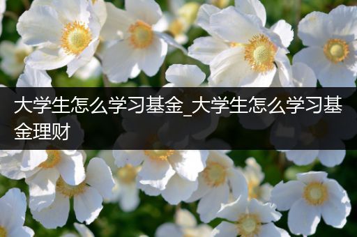 大学生怎么学习基金_大学生怎么学习基金理财