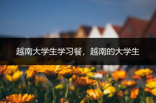 越南大学生学习餐，越南的大学生