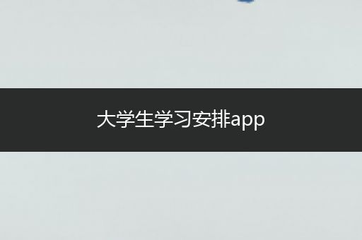 大学生学习安排app