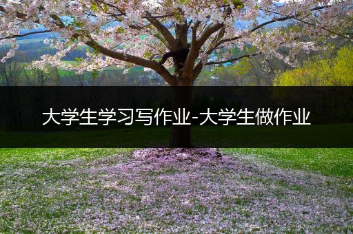 大学生学习写作业-大学生做作业