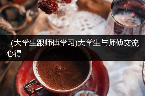 （大学生跟师傅学习)大学生与师傅交流心得
