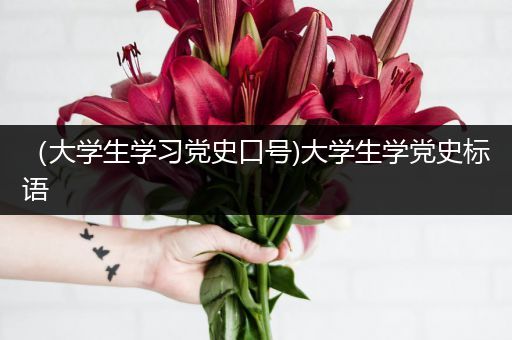 （大学生学习党史口号)大学生学党史标语