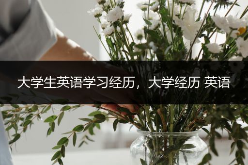 大学生英语学习经历，大学经历 英语