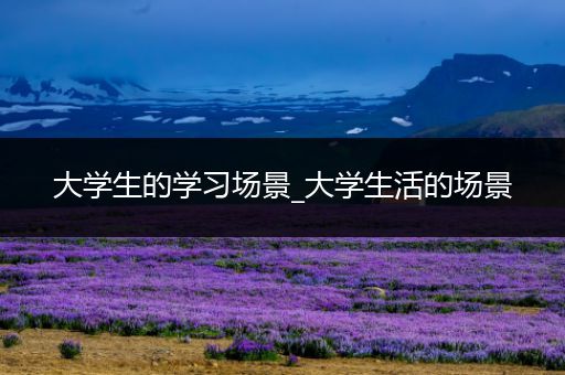 大学生的学习场景_大学生活的场景