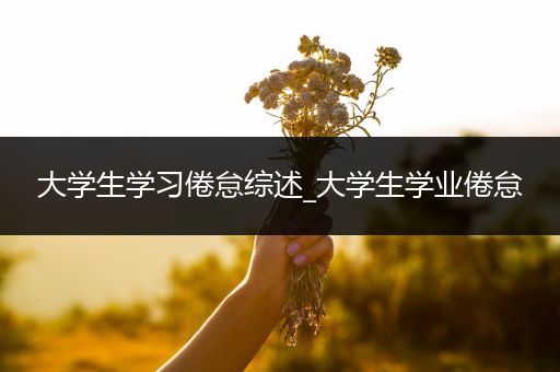 大学生学习倦怠综述_大学生学业倦怠