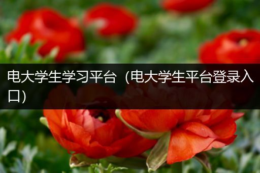 电大学生学习平台（电大学生平台登录入口）