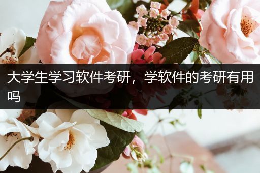 大学生学习软件考研，学软件的考研有用吗