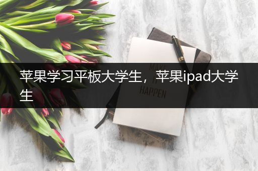 苹果学习平板大学生，苹果ipad大学生