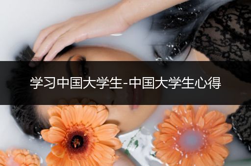 学习中国大学生-中国大学生心得
