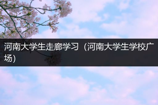 河南大学生走廊学习（河南大学生学校广场）
