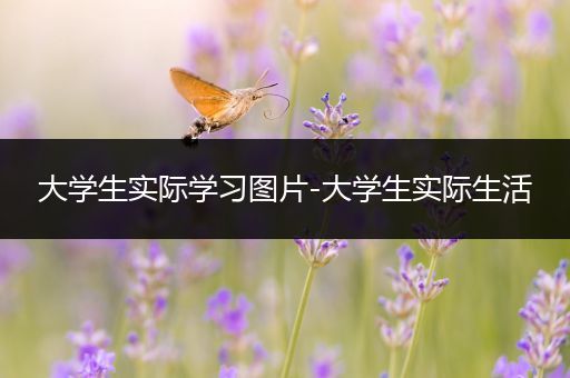 大学生实际学习图片-大学生实际生活