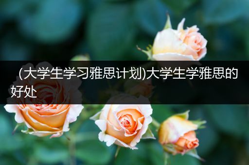 （大学生学习雅思计划)大学生学雅思的好处