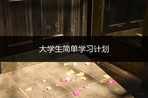 大学生简单学习计划