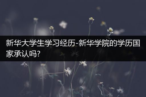新华大学生学习经历-新华学院的学历国家承认吗?