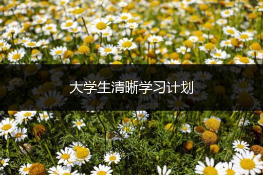 大学生清晰学习计划