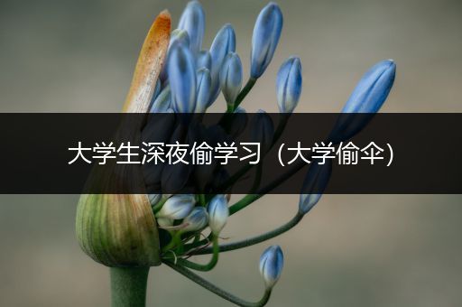 大学生深夜偷学习（大学偷伞）