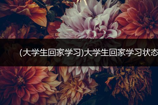 （大学生回家学习)大学生回家学习状态