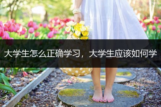 大学生怎么正确学习，大学生应该如何学