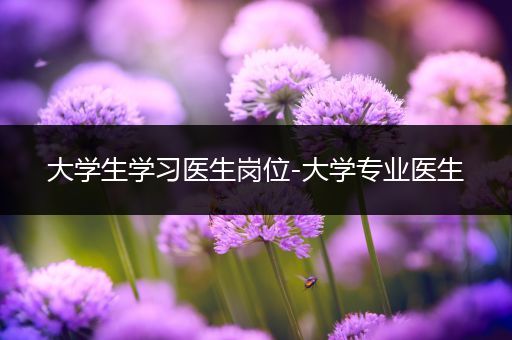 大学生学习医生岗位-大学专业医生