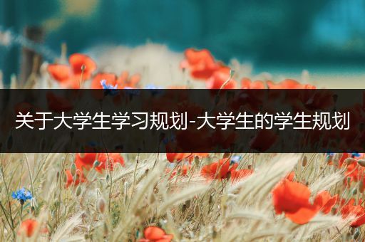 关于大学生学习规划-大学生的学生规划
