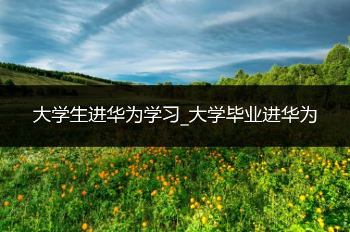 大学生进华为学习_大学毕业进华为