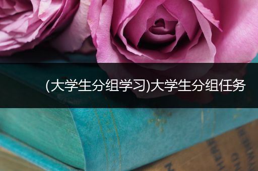 （大学生分组学习)大学生分组任务