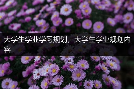 大学生学业学习规划，大学生学业规划内容