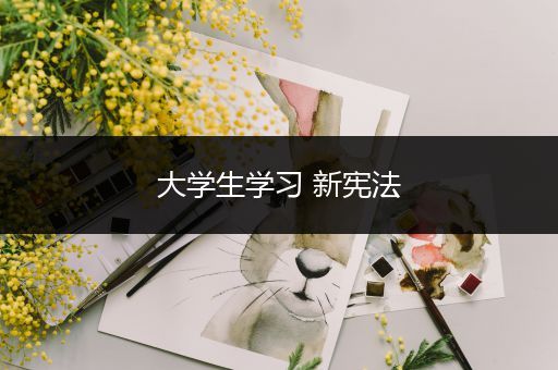 大学生学习 新宪法