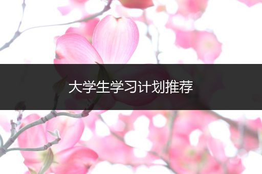大学生学习计划推荐