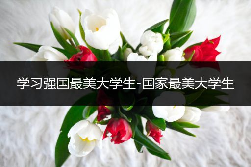 学习强国最美大学生-国家最美大学生