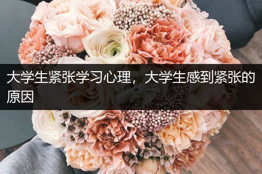 大学生紧张学习心理，大学生感到紧张的原因