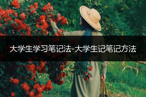 大学生学习笔记法-大学生记笔记方法