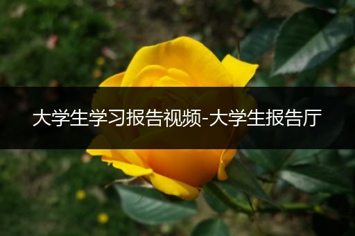 大学生学习报告视频-大学生报告厅