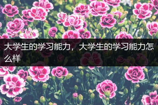 大学生的学习能力，大学生的学习能力怎么样