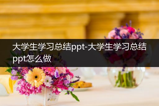 大学生学习总结ppt-大学生学习总结ppt怎么做
