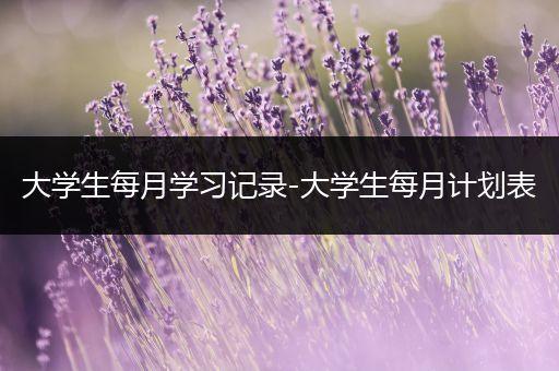 大学生每月学习记录-大学生每月计划表